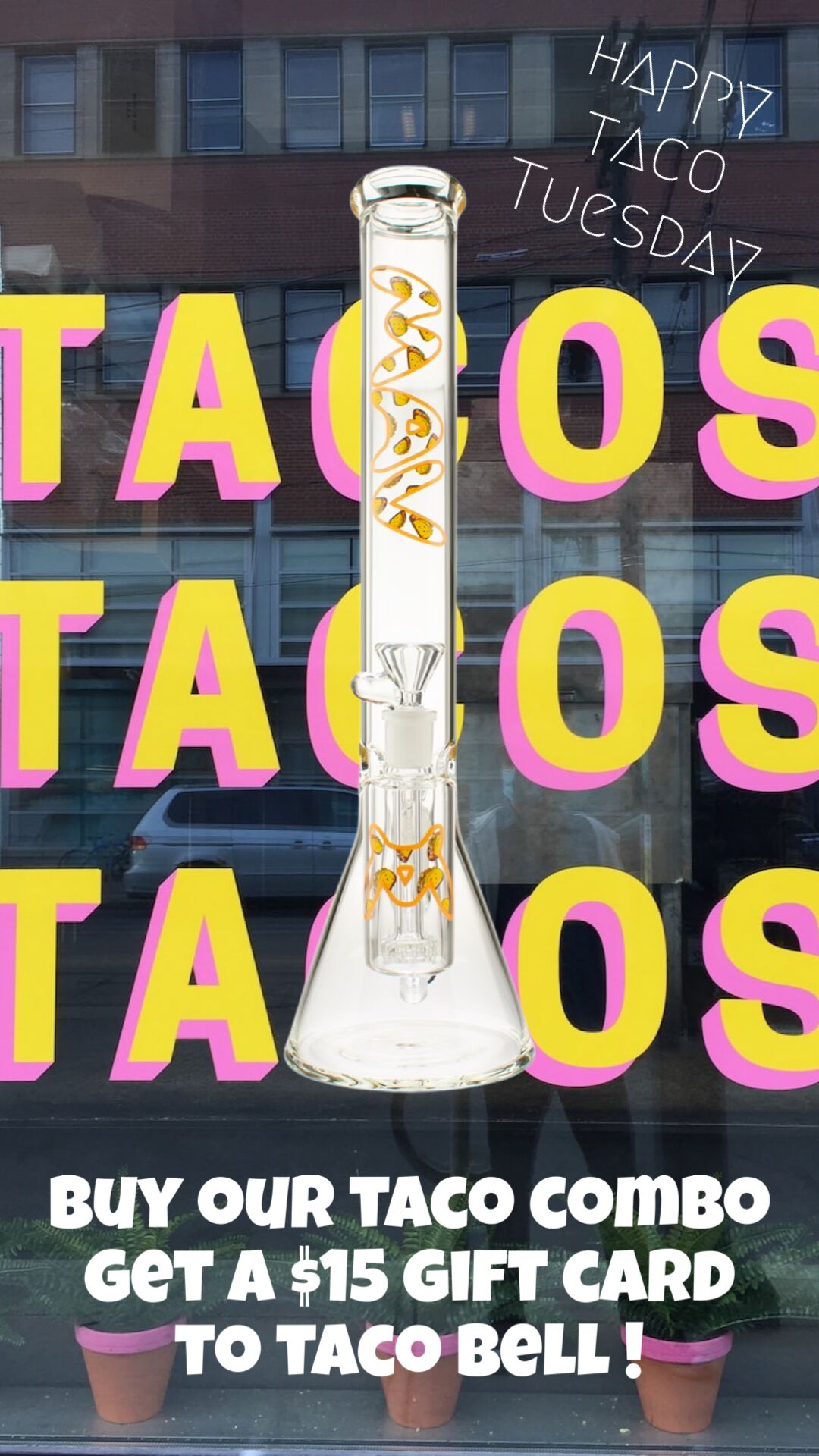 It's Not Too Late To Taco - Mav Glass